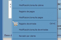 Menú de Registros