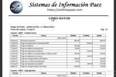 03-libro-mayor
