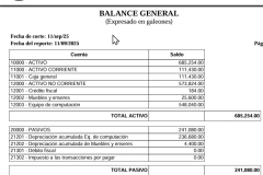 06-balance-general